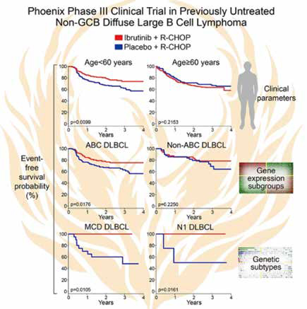 年轻ABC型DLBCL患者 MCD或N1亚型联用依鲁替尼3年EFS率100%
