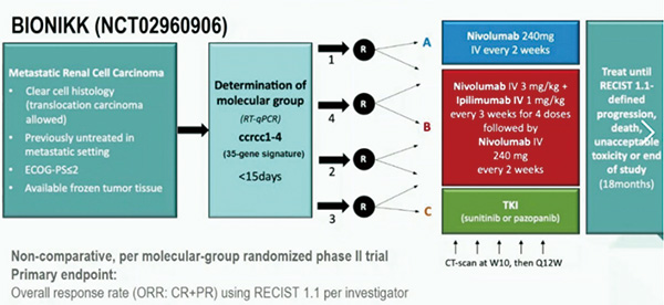 一线治疗转移性ccRCC 肿瘤分子表型或有助于治疗选择