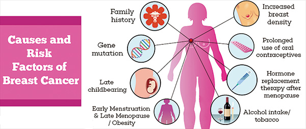 高危早期乳腺癌的最佳辅助化疗研究