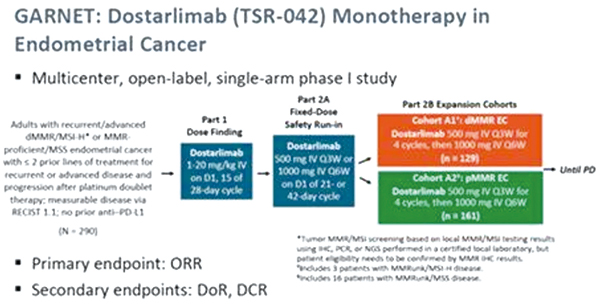 Dostarlimab-gxly治疗dMMR复发或晚期子宫内膜癌获批