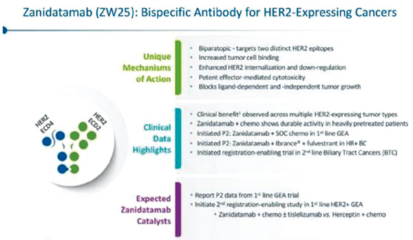 HER2扩增、不可切除的局部晚期或转移性胆管癌  HER2双特异性抗体Zanidatamab疗效可期