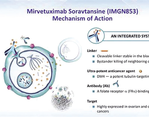 FRα阳性铂耐药的卵巢癌 Mirvetuximab soravtansine方案优于化疗