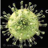 造血干细胞移植后 来特莫韦长期预防可降低巨细胞病毒感染风险