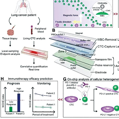 纳米细胞芯片预测肺癌免疫治疗疗效