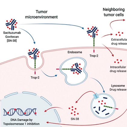 复治晚期或转移性NSCLC Sacituzumab Govitecan或优于多西他赛