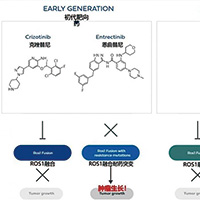 晚期或转移性、ROS1阳性NSCLC Taletrectinib疗效持久且颅内缓解高达88%