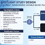 SPOTLIGHT研究总生存结果会上公布