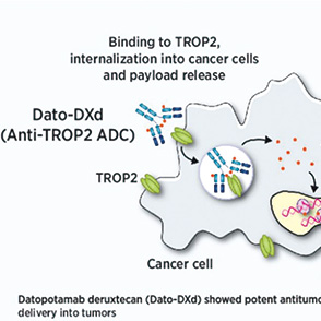 非鳞状NSCLC TROP2 QCS-NMR阳性是dato-DXd更有效的预测性标志物