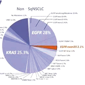 EGFR ex20ins突变的、局部晚期/转移性NSCLC 一线应用mobocertinib不优于含铂化疗