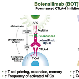 难治性HCC Botensilimab联合Balstilimab治疗可诱导持久缓解