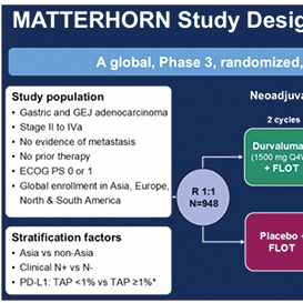度伐利尤单抗MATTERHORN研究公布