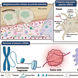 阿司匹林增加血小板cfDNA含量助力癌症早筛