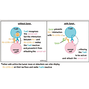 鳞状或非鳞状转移性NSCLC 一线化疗联合retifanlimab或为潜在的选择