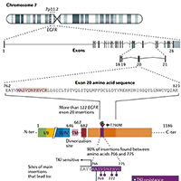 复治EGFR T790M突变的NSCLC YK-029A安全可控疗效可期