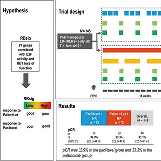 HR+/HER2+早期乳腺癌 哌柏西利、来曲唑联合双靶抗HER2治疗或可作新辅助治疗