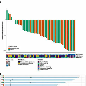 dMMR/MSI-H晚期非结直肠癌​ ​纳武利尤单抗联合伊匹木单抗治疗可为治疗选择