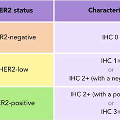 转移性乳腺癌 德曲妥珠单抗可在广泛HER2阳性人群中应用