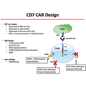 复发或难治性T细胞ALL 通用型BE-CAR7 T细胞可诱导白血病缓解