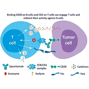 Richter转化患者 epcoritamab单药后线治疗或有抗肿瘤活性