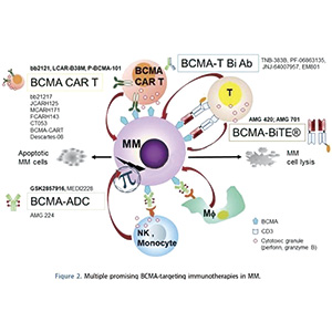难治性多发性骨髓瘤 一线复发后应尽早使用西达基奥仑赛