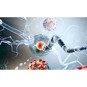 无大包块的、早期cHL 可使用维布妥昔单抗、纳武利尤单抗联合有限化疗方案