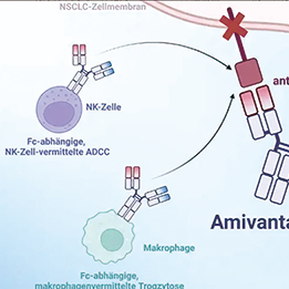 携带Ex20ins的局部晚期/转移性NSCLC亚洲患者 一线联用埃万妥单抗对比单用化疗显著改善PFS