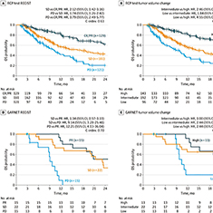 免疫治疗晚期NSCLC 深度学习CT标志预测的总生存优于传统指标