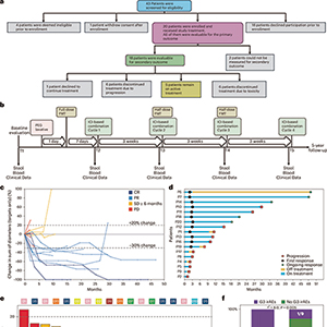 联合粪便微生物群移植治疗肾癌或安全有效